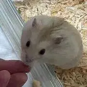Ｋさん