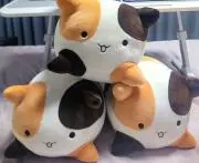 Ko1の画像