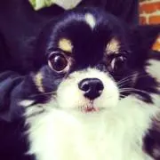 くぼちゃん