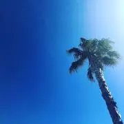 EVAの画像