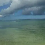 青リンゴ