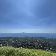 べるすずの画像