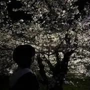 ゆゆの画像