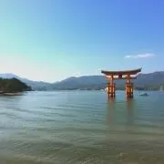 まきの画像