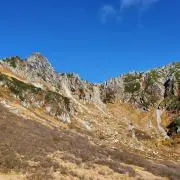 キタの画像