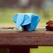 N-u-の画像
