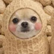 ナッツの画像