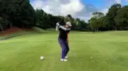 のぶたの画像