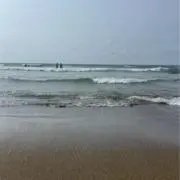 ゆってぃーの画像