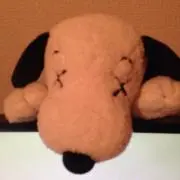 ゆま★プロフ必読の画像
