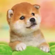 keeeの画像