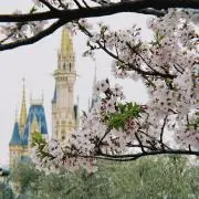 RENの画像