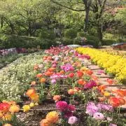 kateの画像