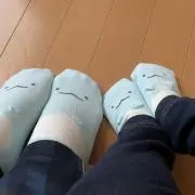 うさぎの画像
