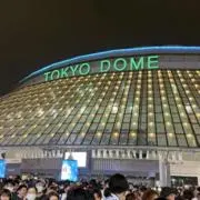 MARUの画像
