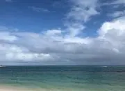RRRの画像
