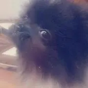 前田慶次