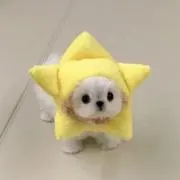 ♡の画像