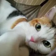 とこちゃん※プロフ、説明文読んで下さい！の画像
