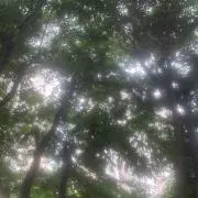 ぷすぷす