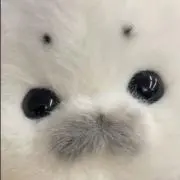 はるの画像