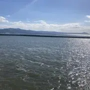 まい