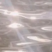 ねこの画像