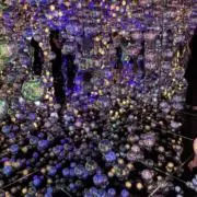 あれきの画像