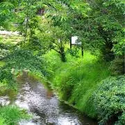KYOの画像