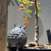 Green_Garage23の画像