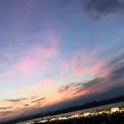 しーたん ⭐︎ 即日発送の画像