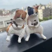 masaの画像