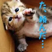 サラママ