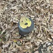 keityの画像
