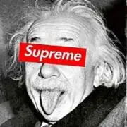 ＊