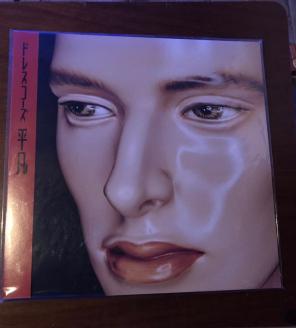ドレスコーズ lp 平凡